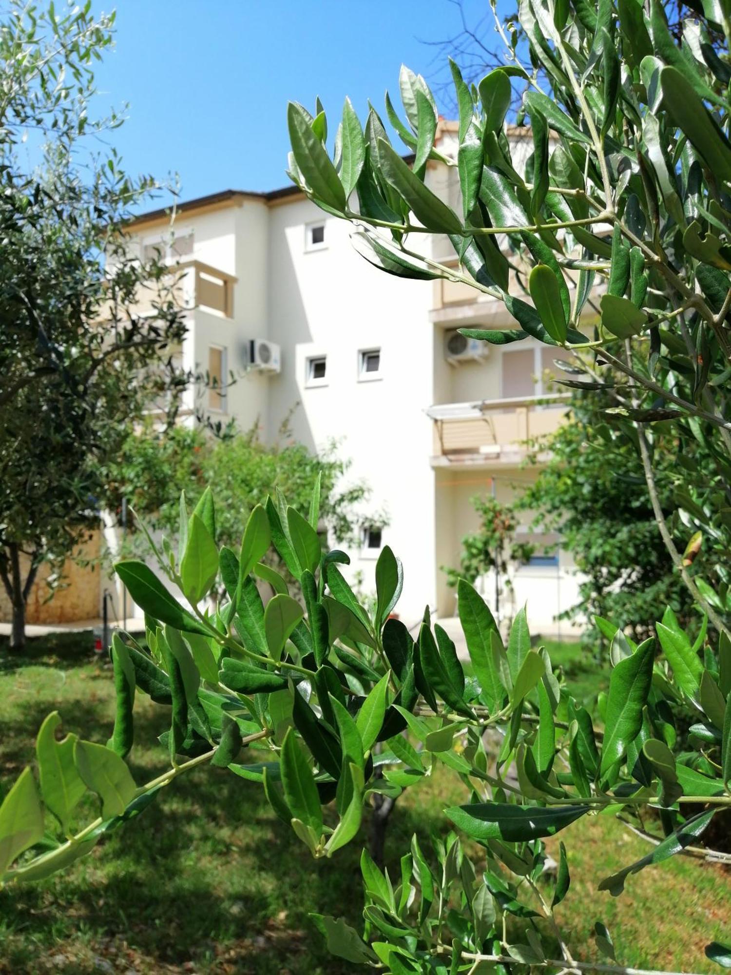 Apartments Monika Hoek van Holland Ngoại thất bức ảnh