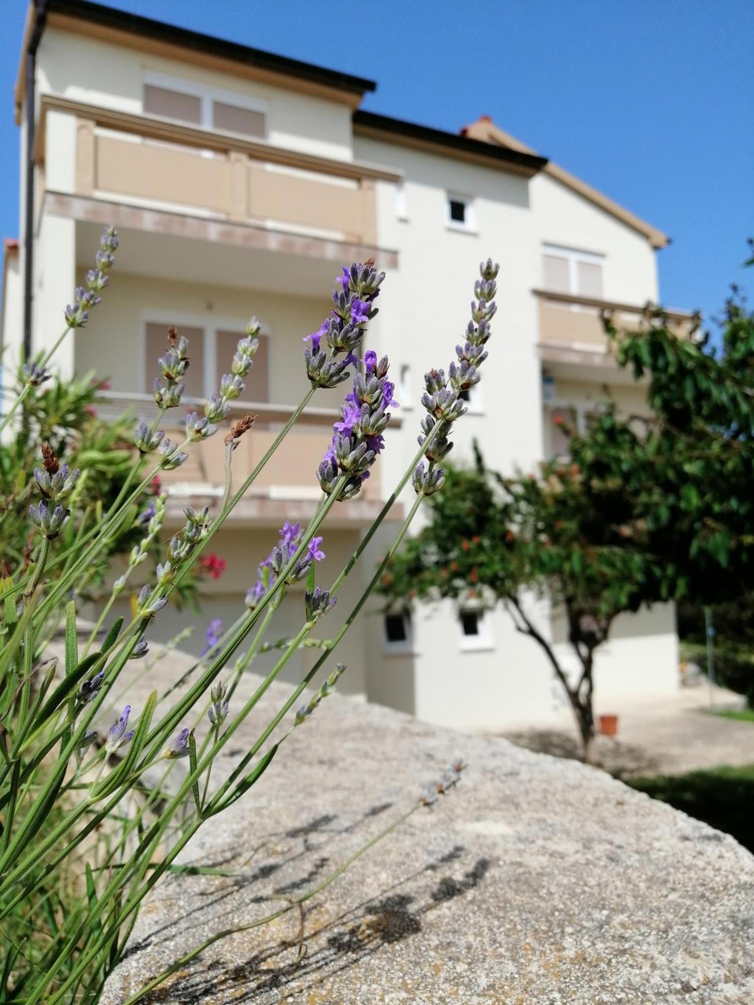 Apartments Monika Hoek van Holland Ngoại thất bức ảnh